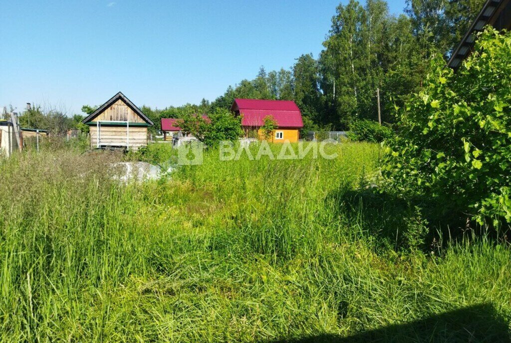 дом г Владимир снт Автомобилист 12-я линия фото 14