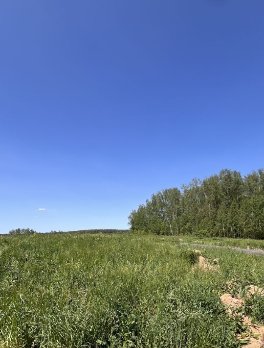 земля г Ступино Новое Проскурниково кп фото 1