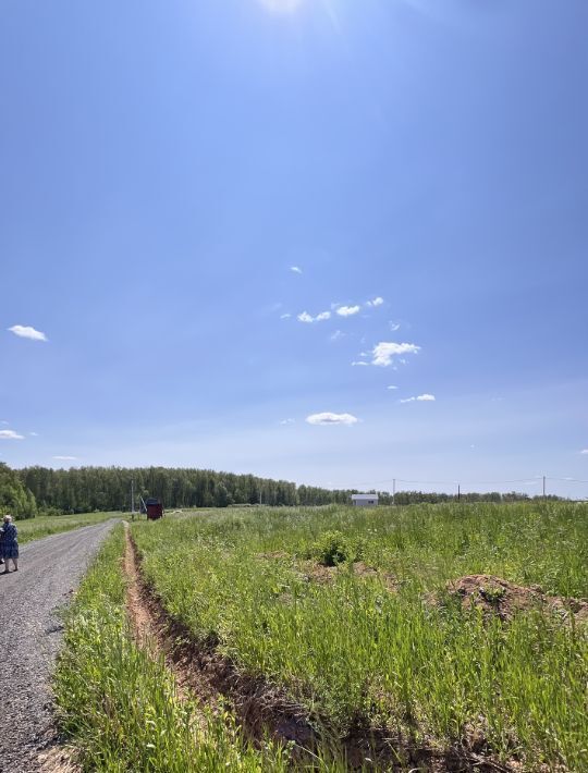 земля г Ступино Новое Проскурниково кп фото 3