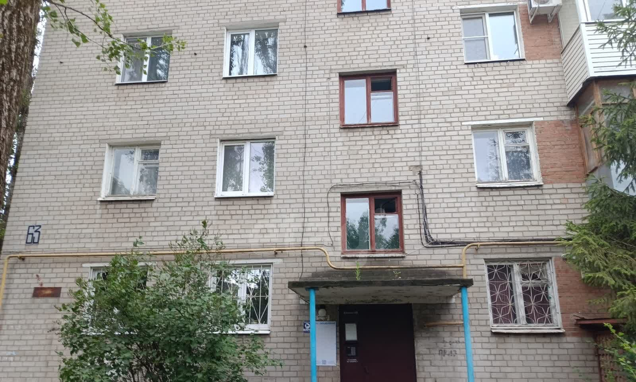 квартира г Воронеж ул Героев Сибиряков 63 фото 3