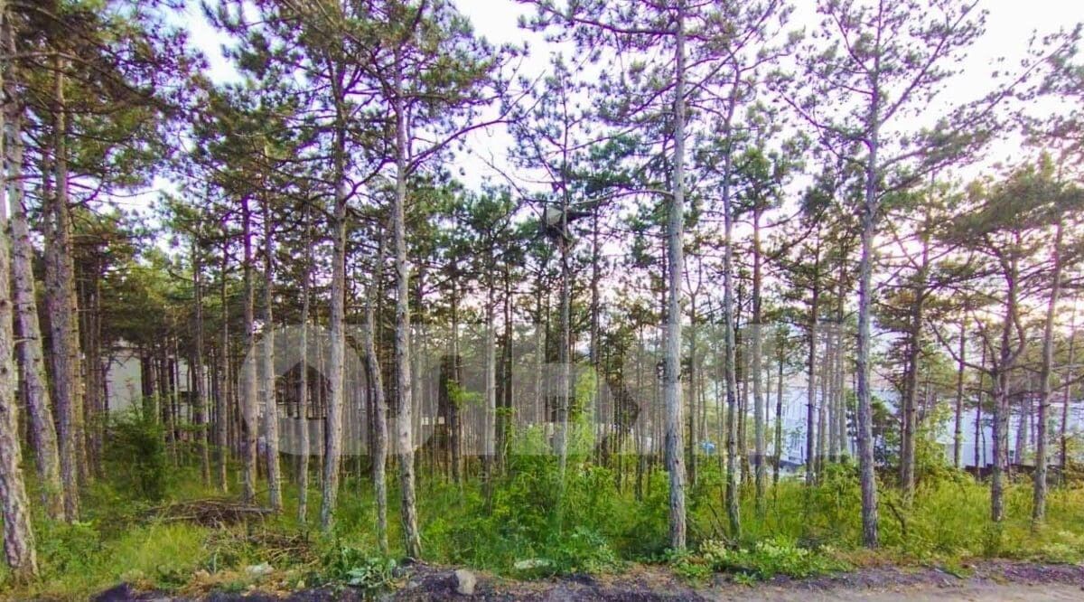 земля г Алушта п Семидворье мкр Аян-Дере-2 фото 3