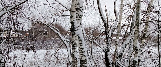 Егорьевск муниципальный округ, д. Панино фото