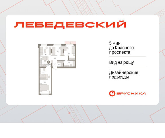 Заельцовская квартал № 5 ЖК «Лебедевский» фото