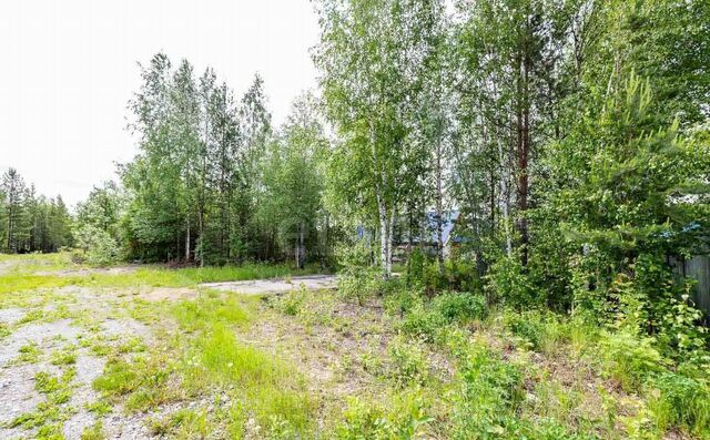 земля СТ № 59 Грибное, Тюменская обл. фото