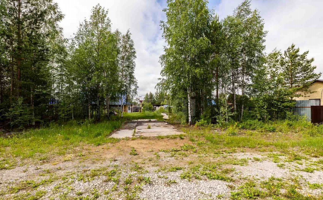 земля г Сургут СТ № 59 Грибное, Тюменская обл. фото 3