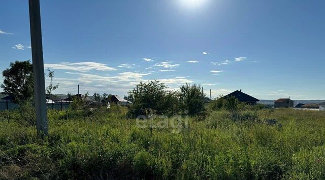 земля х Семигорский фото