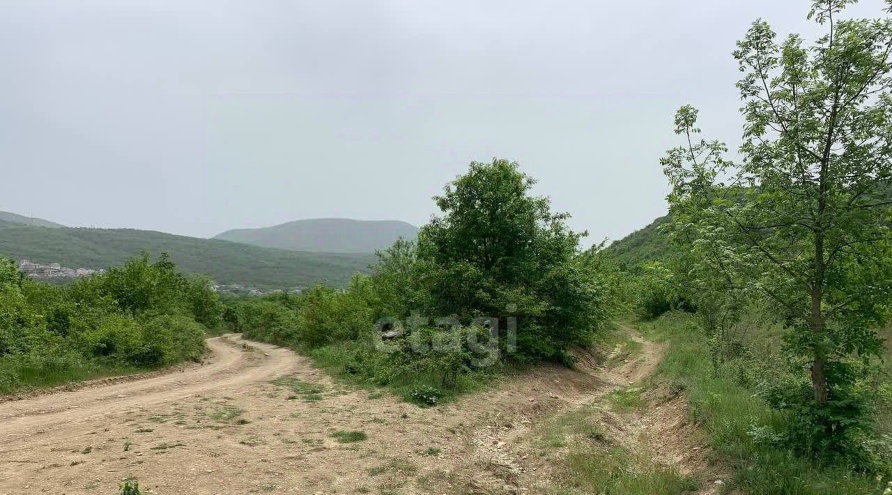 земля г Новороссийск с Борисовка пер Горный 2 фото 2