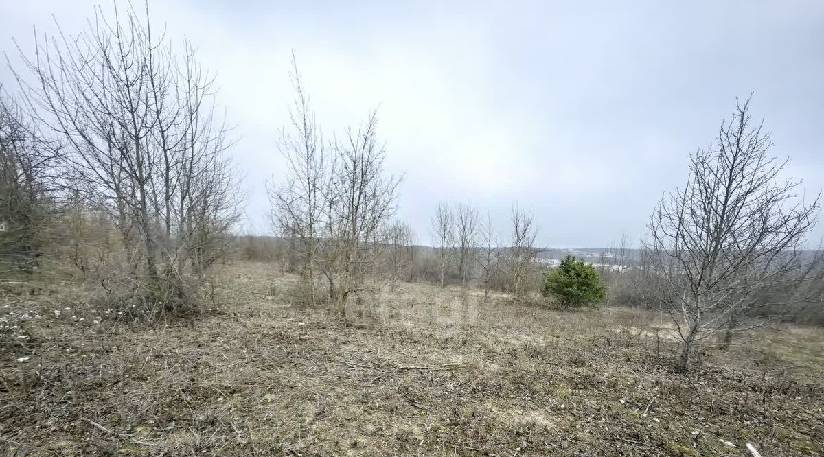 земля г Новороссийск с Борисовка фото 3
