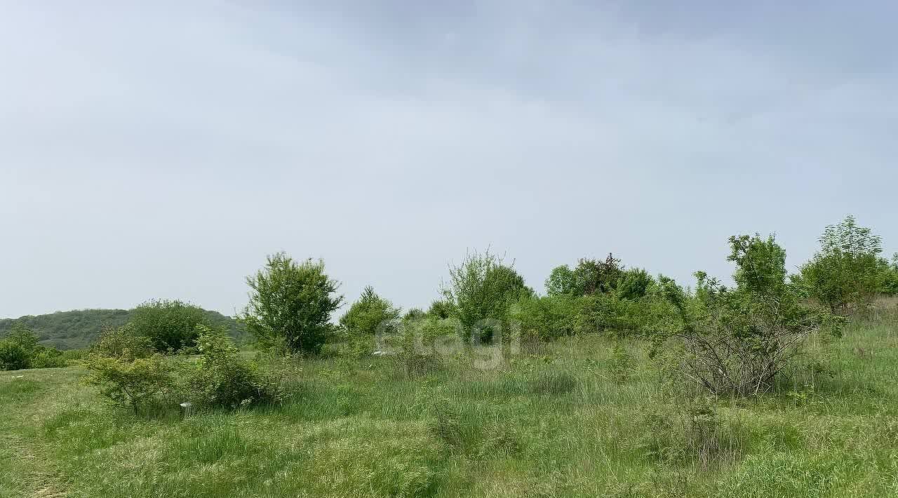 земля г Новороссийск с Борисовка фото 3