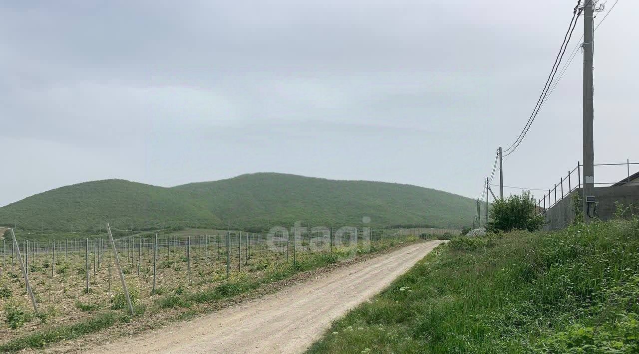 земля г Новороссийск с Южная Озереевка ул Заповедная фото 4