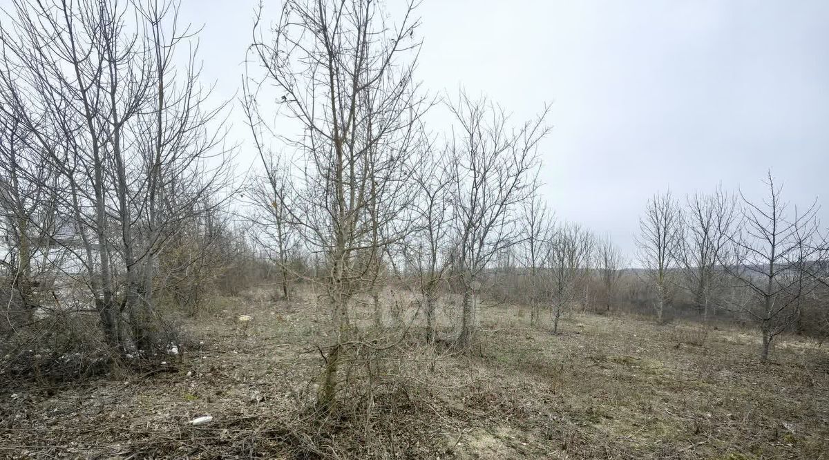 земля г Новороссийск с Борисовка фото 7
