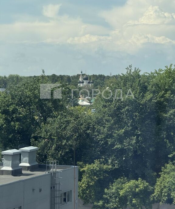 квартира г Новосибирск р-н Заельцовский Заельцовская ул Аэропорт 88 фото 16