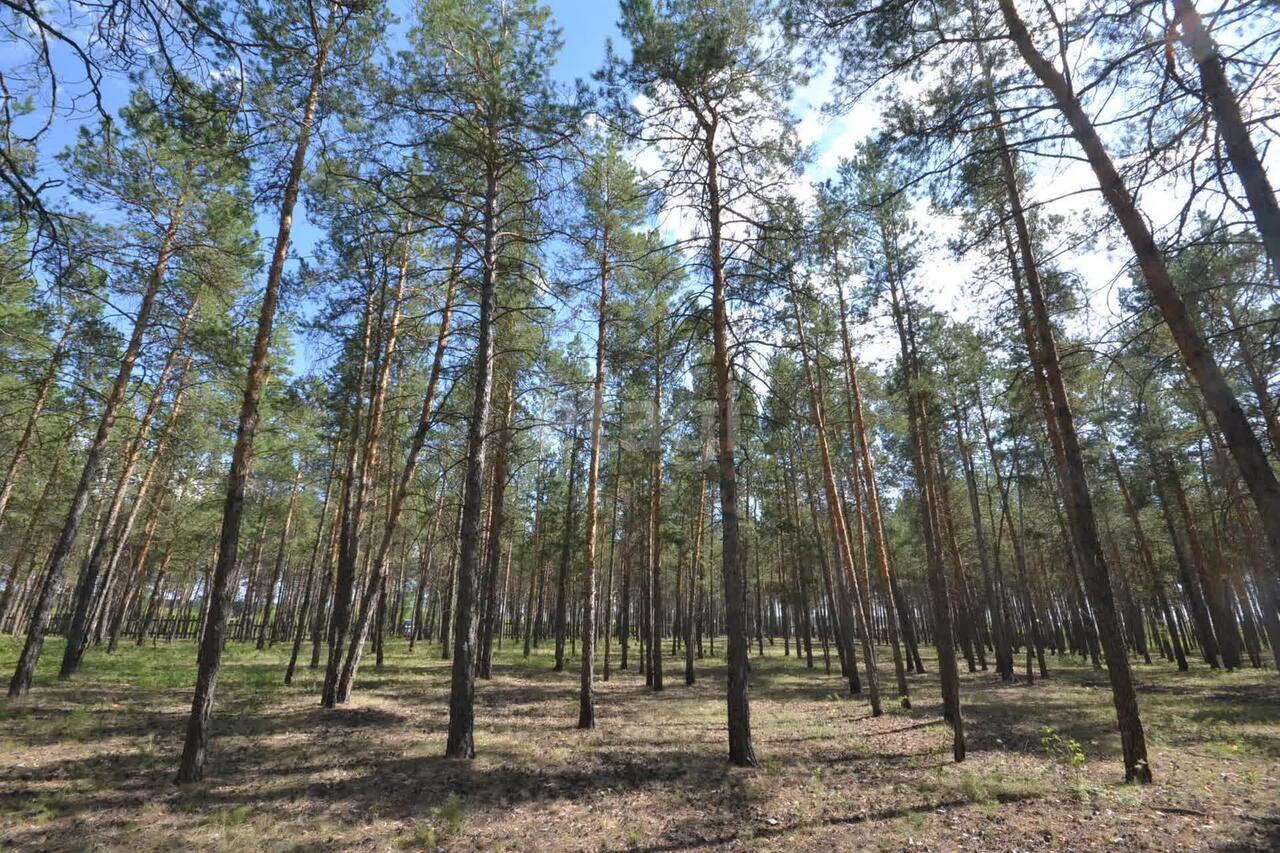 земля г Якутск Объездное шоссе фото 10