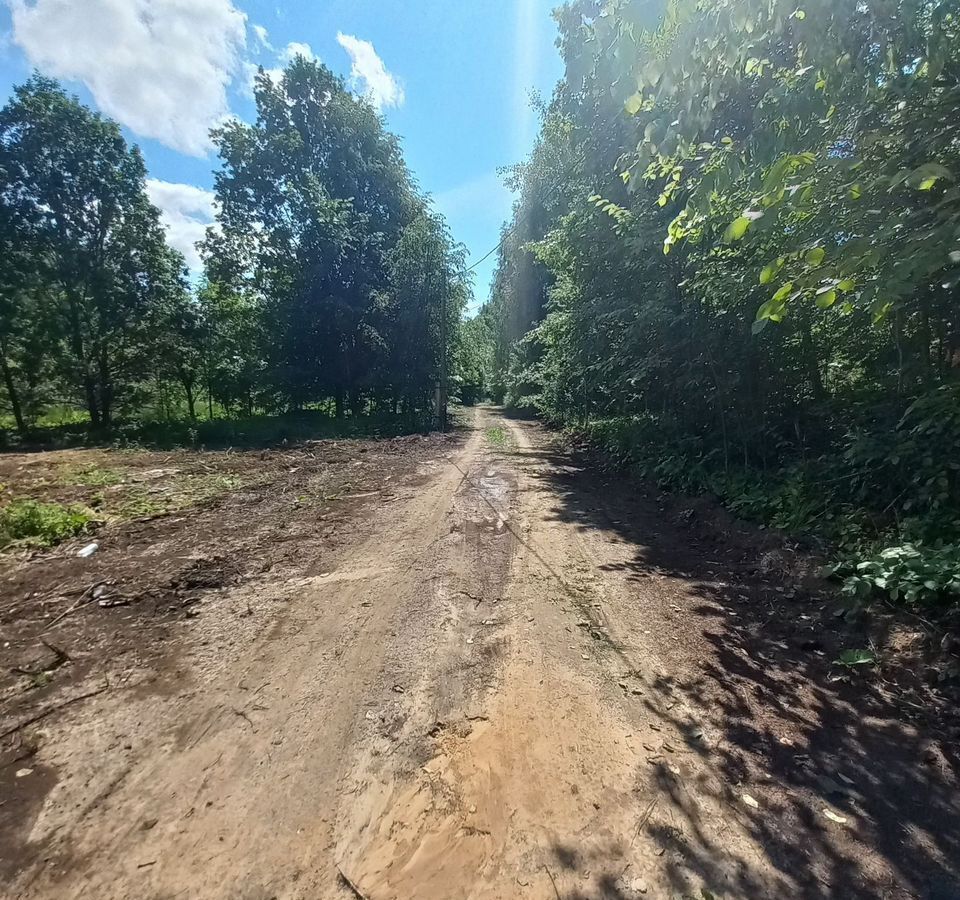 земля г Бор СНТ Кривель, Кстово фото 7
