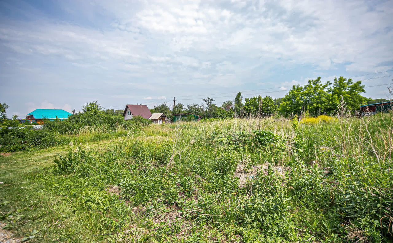 земля г Бердск Бердское шоссе, СНТ Луговое фото 11