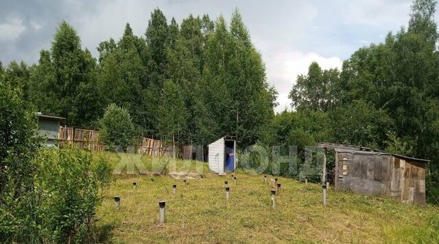 Золотая Нива снт Ветеран ул Зеленая Горка фото