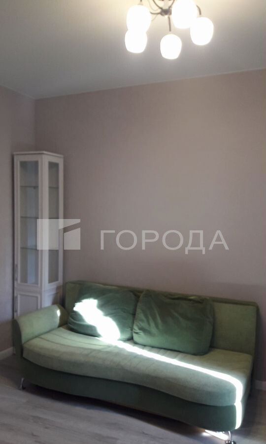 квартира г Новосибирск ул Плахотного 33 Площадь Маркса фото 8