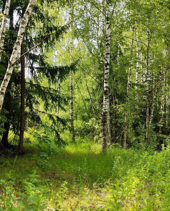 земля г Истра Зеленоград—Крюково, территориальный отдел Ермолинское фото 12