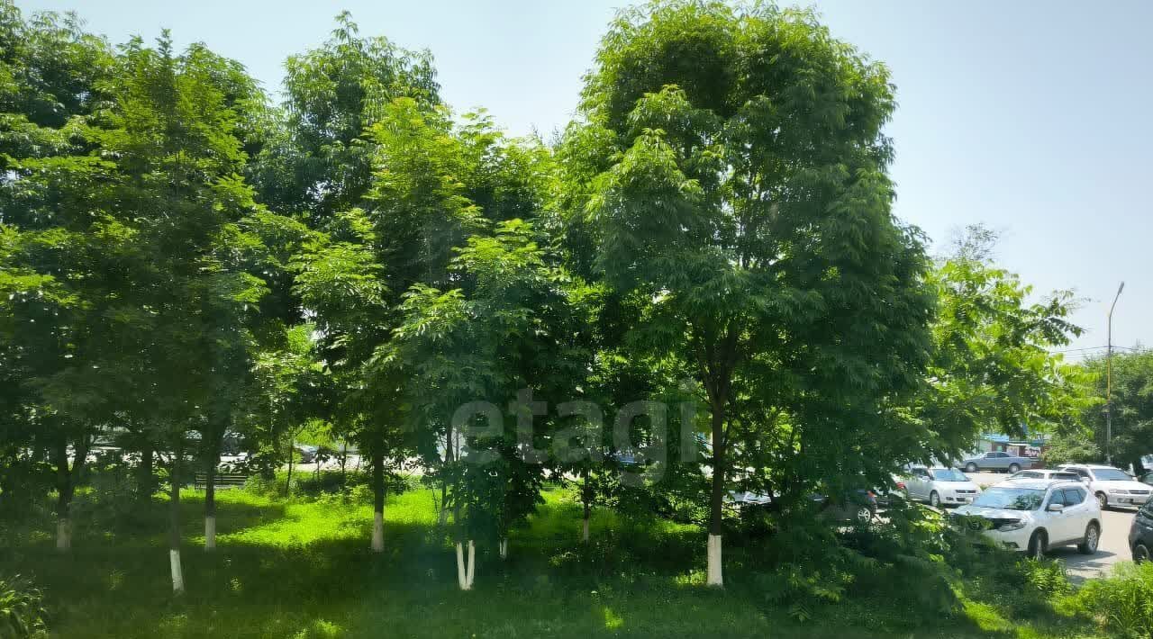 квартира г Артем ул 1-я Рабочая 37 фото 24