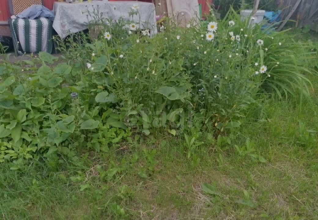 дом г Красноярск р-н Ленинский ул Даурская фото 3