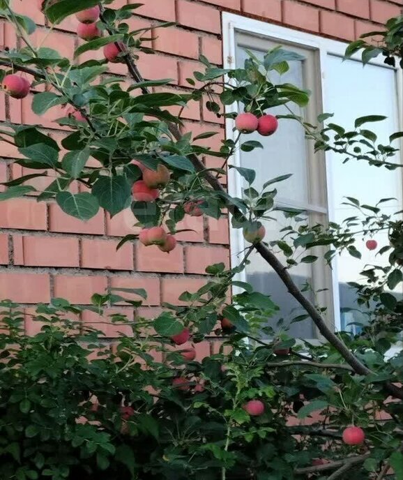 дом г Улан-Удэ п Загорск ул Заиграевская фото 30
