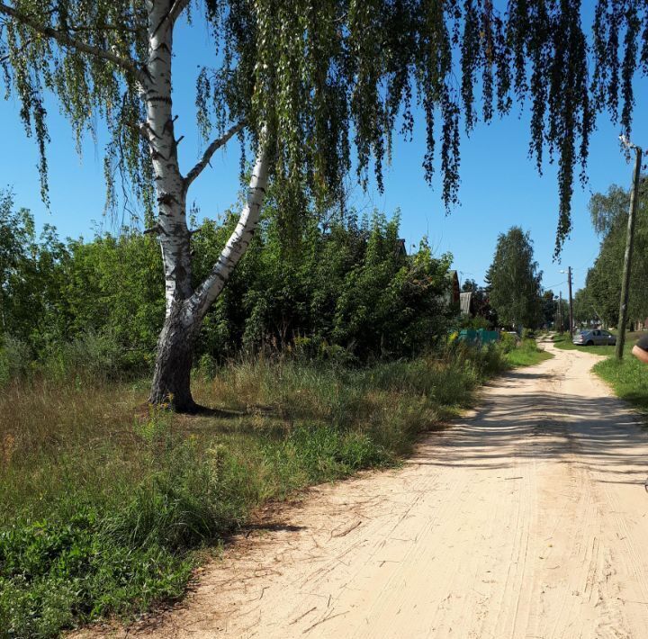 земля г Бор д. Ватома фото 4