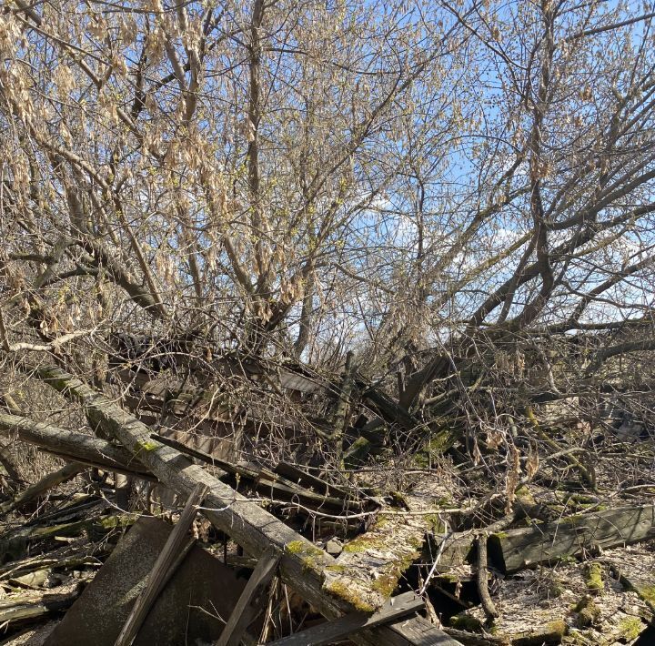 земля г Нижний Новгород р-н Нижегородский ул Чкалова 196 д. Кузьминка фото 3