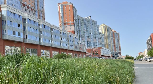 метро Проспект Просвещения ул Руднева 18 фото