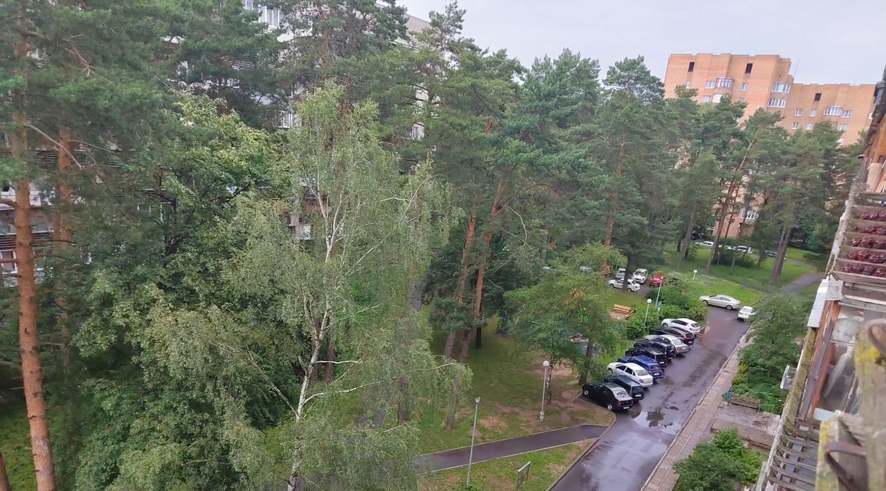 квартира г Протвино ул Гагарина 8 Серпухов городской округ фото 3