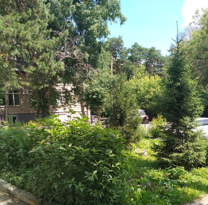 комната г Новосибирск р-н Заельцовский Заельцовская ул. Территория Горбольницы, 3 фото 10