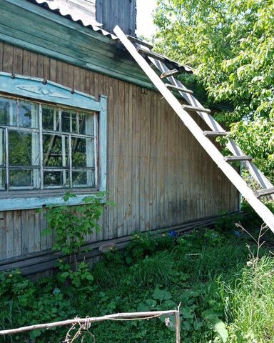 ул Центральная 18 Солоновский сельсовет, Новичиха фото