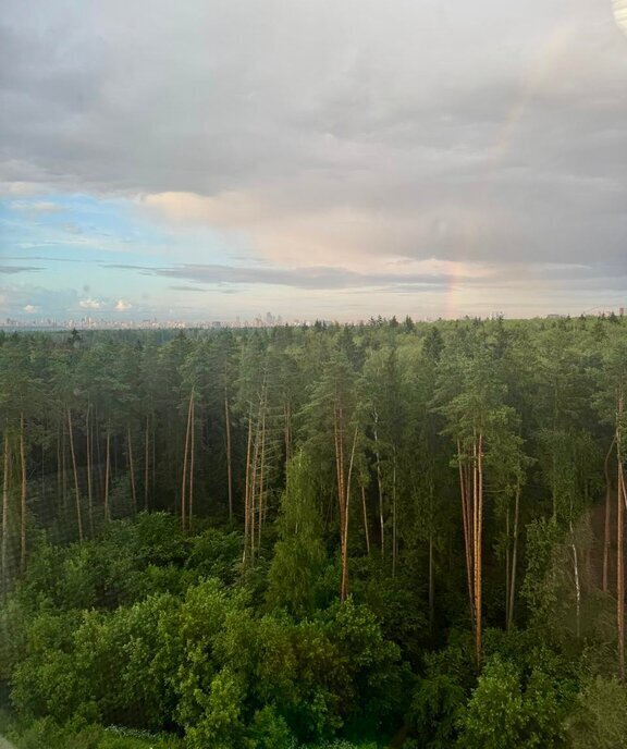 квартира г Одинцово ул Кутузовская 12 микрорайон «Новая Трёхгорка» Сколково фото 16