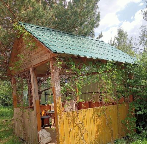 снт Калинка Ипподром фото