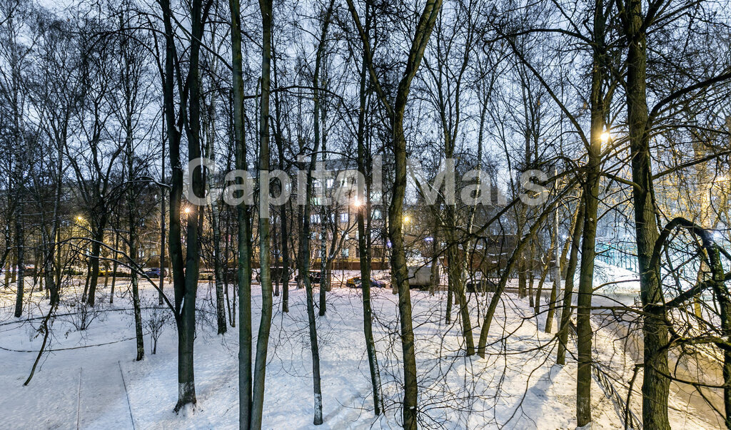 квартира г Москва ул Маршала Рыбалко 18к/3 Поле, Октябрьское фото 6