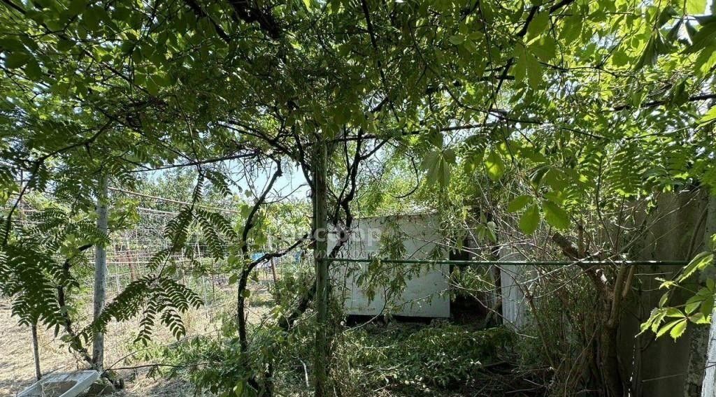 земля г Феодосия снт Нива ул Малиновая фото 2