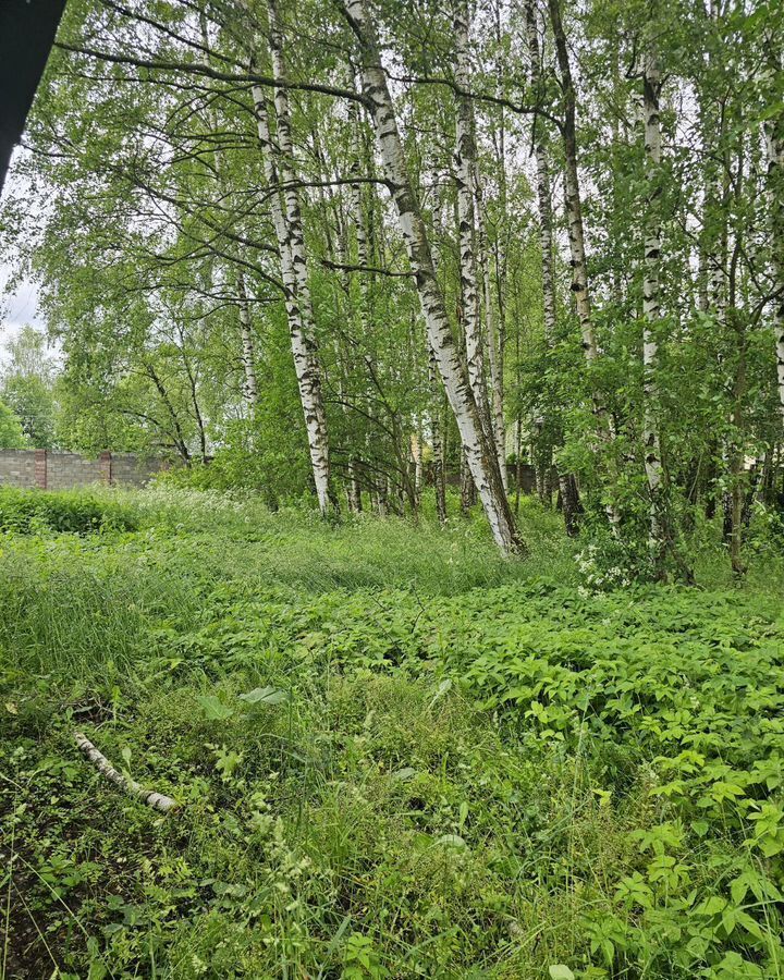 земля г Пушкино снт Нептун-1 19 км, г. о. Пушкинский, Ярославское шоссе фото 2
