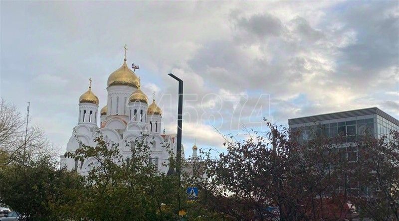 квартира г Москва аллея Берёзовая 17к/2 Ботанический сад фото 17