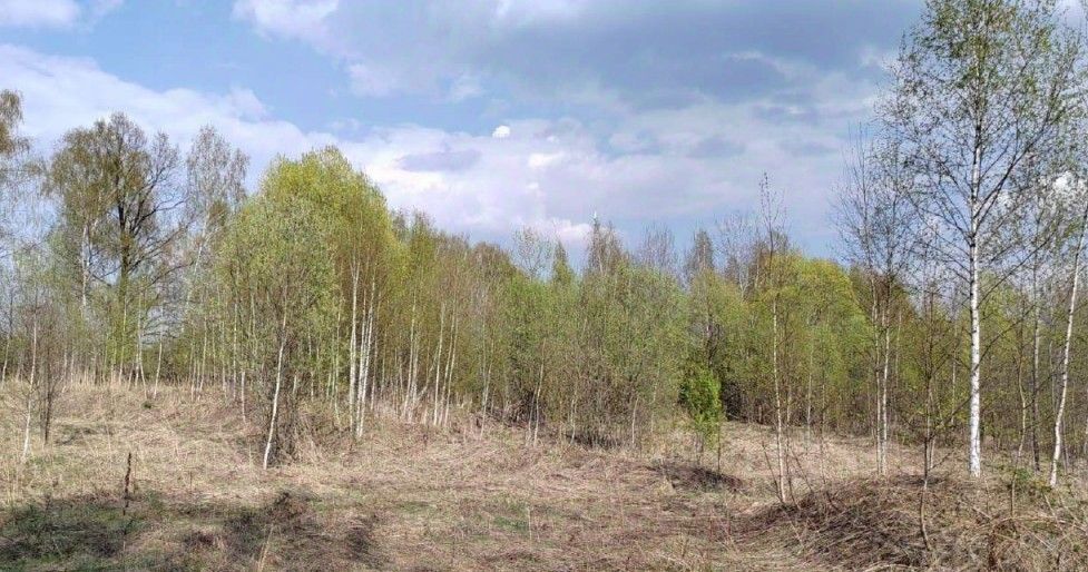 офис г Чехов фото 1