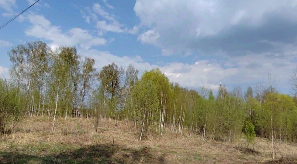 офис г Чехов фото 2