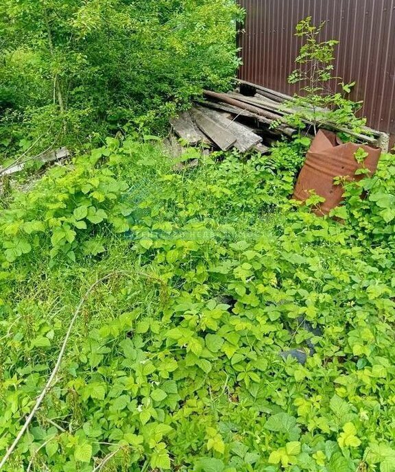 земля г Новороссийск п Верхнебаканский СОТ Баканское фото 1