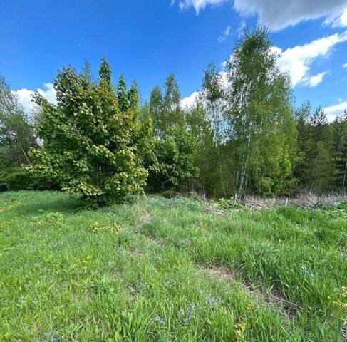 ул Зеленая Коломна городской округ фото