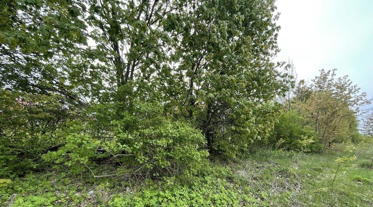земля г Пущино ул Старопущинская Серпухов городской округ фото 1