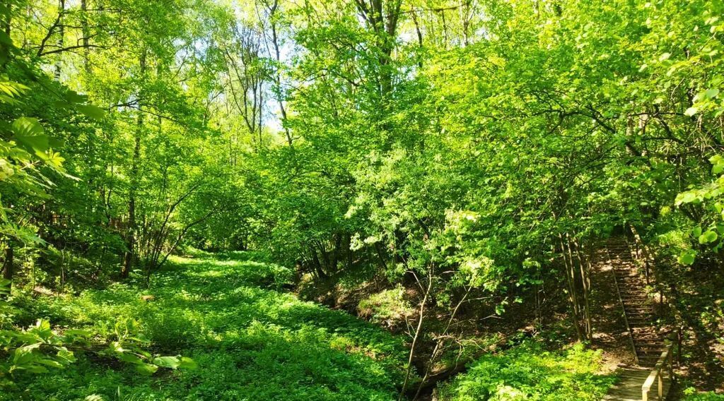 дом г Домодедово д Вертково фото 30