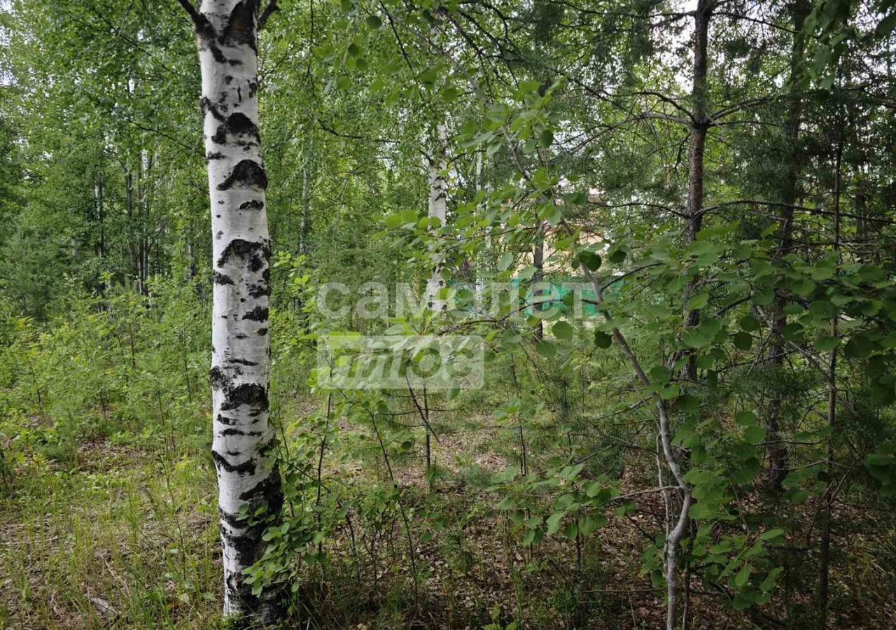 земля г Сургут СТ № 46 Урожай, 8-я линия, Тюменская обл. фото 4