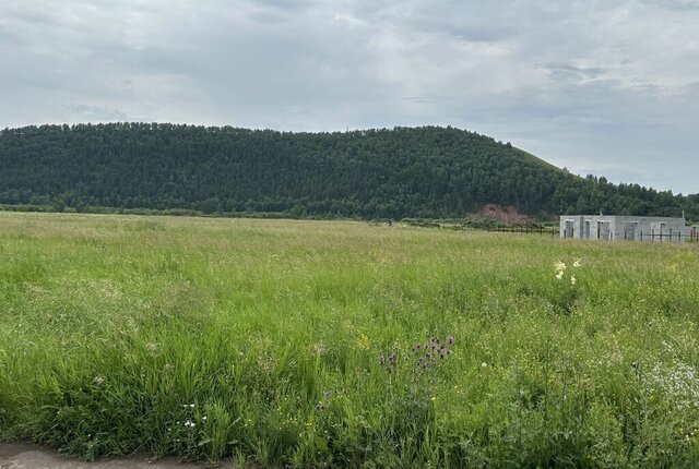 Монамур сельсовет, Солонцовский фото