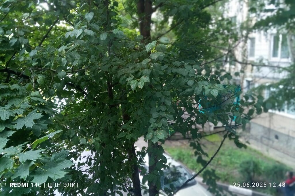 квартира г Старый Оскол микрорайон Королёва 4 фото 15