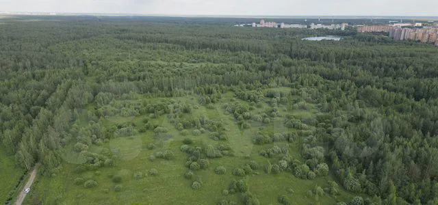 земля г Электросталь снт Восток 40 км, промышленный, комплекс, Горьковское шоссе фото 10