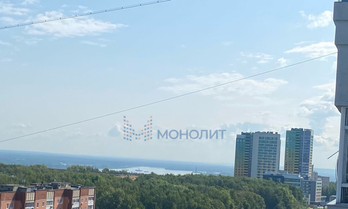 квартира г Нижний Новгород ул Родионова 167/1 фото 15