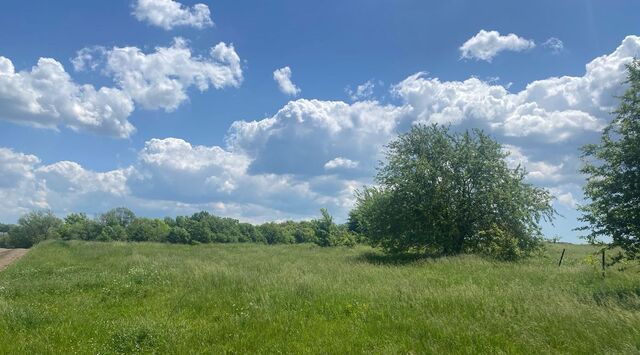 пос, Пригородное с фото