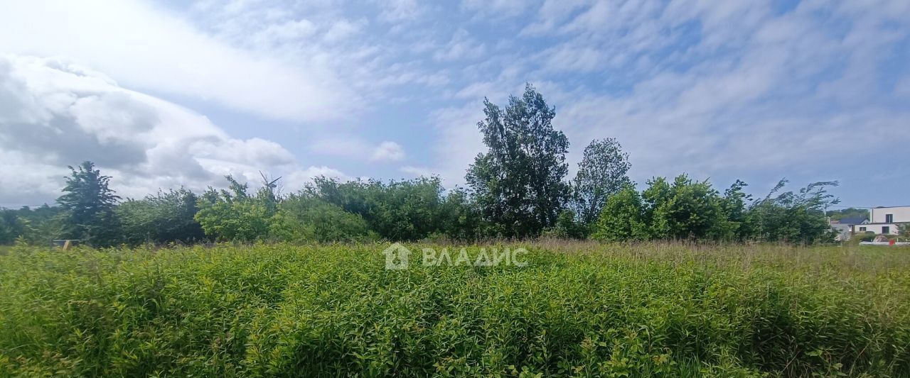 земля р-н Зеленоградский г Зеленоградск снт Сосновка ул Приморская фото 4